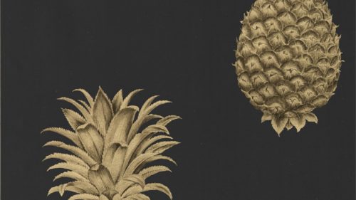 Pineapple Royale 216326